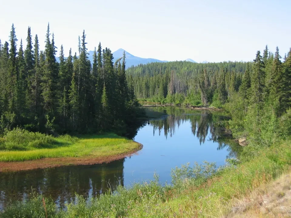 Whitehorse