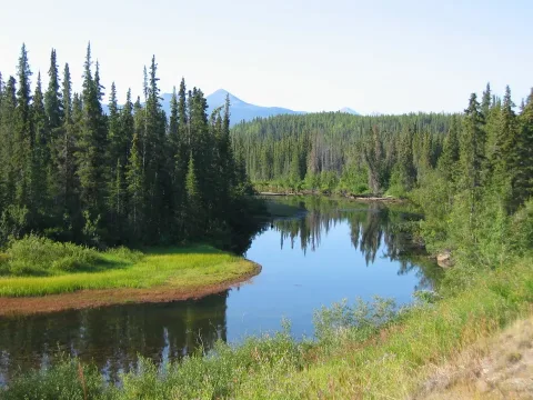 Whitehorse