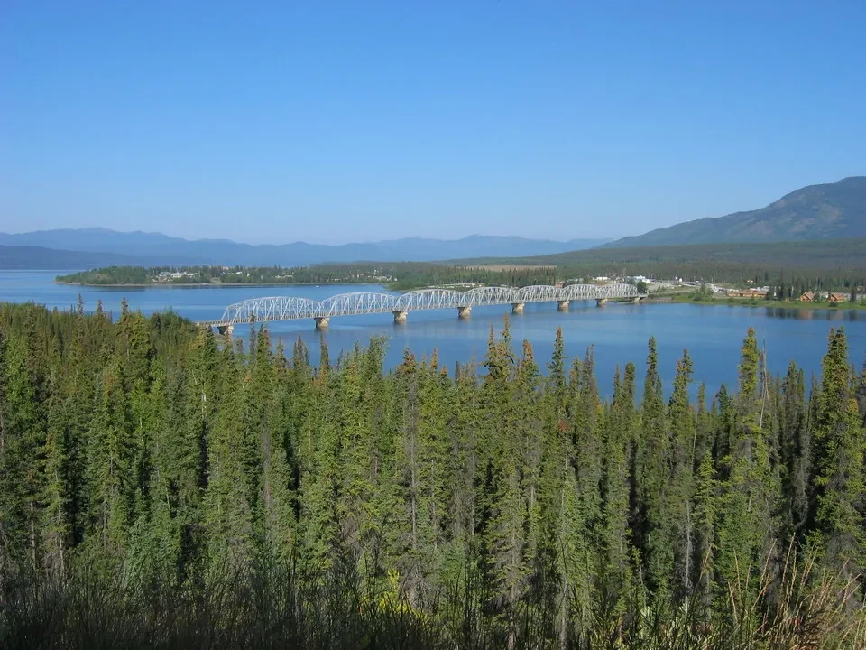 Un ponte attraversa un ampio specchio d'acqua circondato da foreste lussureggianti.