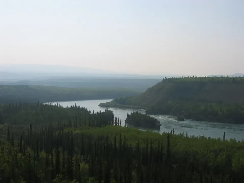 Paesaggio fluviale con foreste lussureggianti e colline in Canada Occidentale.