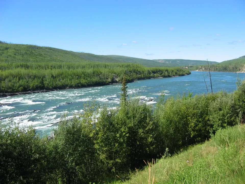 Fiume Liard che scorre tra le colline verdi del Canada Occidentale.