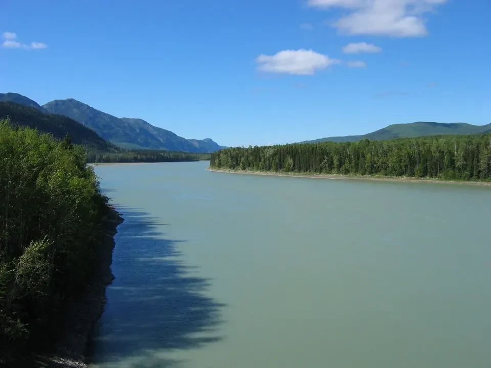 Un ampio fiume verde scorre attraverso una foresta boscosa e montagne in lontananza sotto un cielo azzurro.