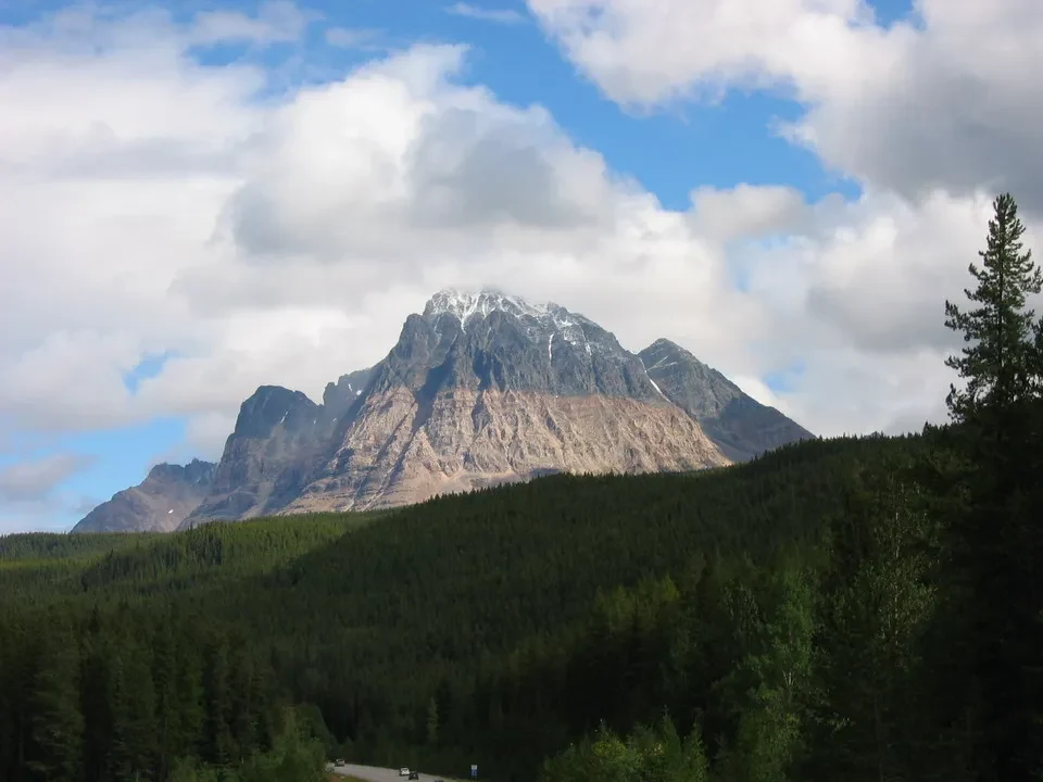 Jasper N.P.