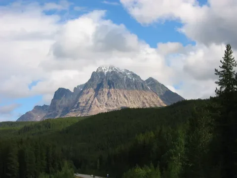 Jasper N.P.