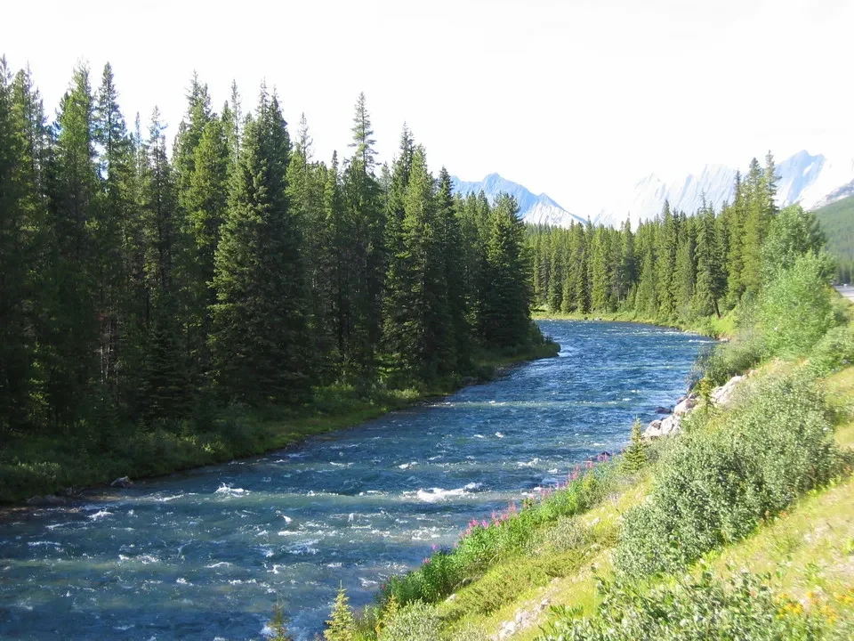 Un fiume turchese scorre tra la vegetazione boschiva in Canada Occidentale.