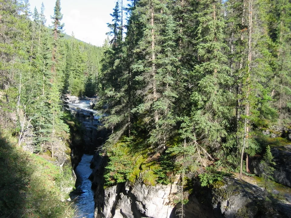 Un fiume scorre attraverso un canyon boscoso in Canada Occidentale.