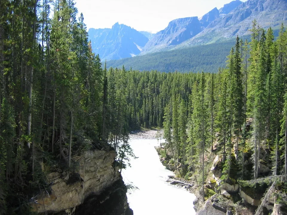Un fiume scorre tra le montagne boscose in una valle alpina.
