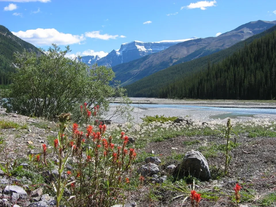 Un fiume scorre tra montagne innevate in una valle canadese.