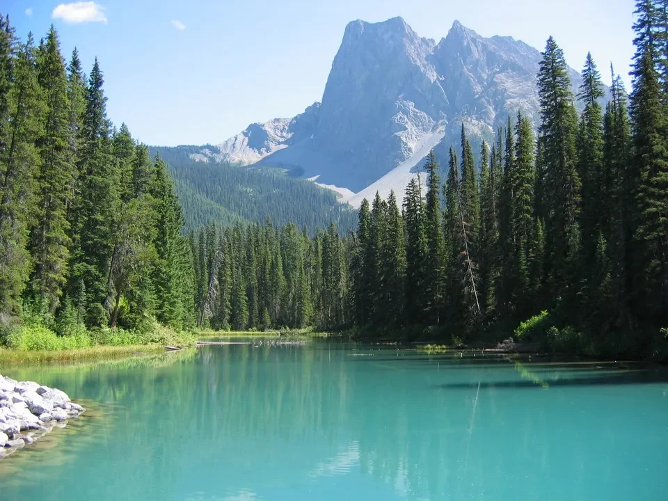 Lago turchese alpino circondato da foreste di conifere e montagne rocciose.