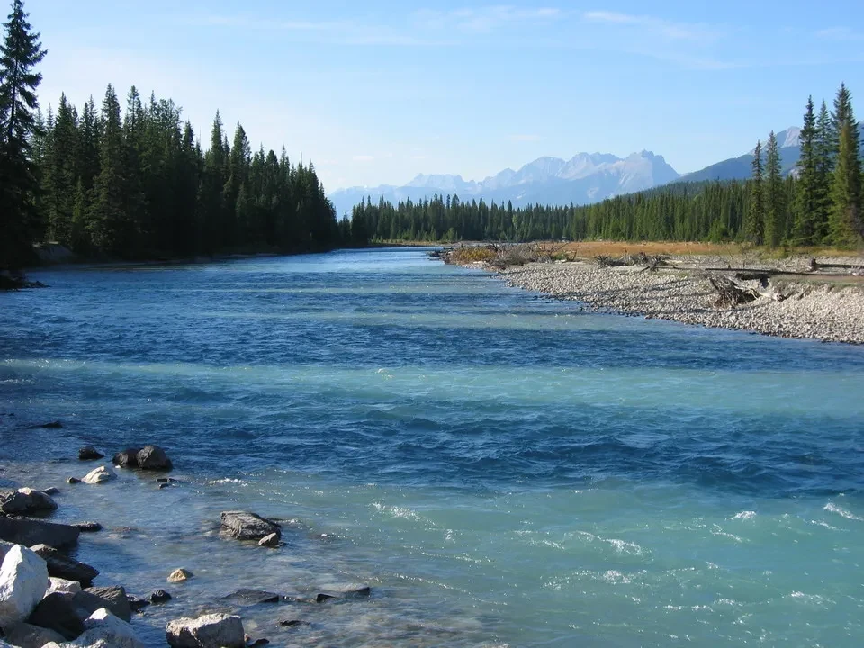 Un fiume cristallino scorre attraverso foreste di conifere verso montagne lontane.